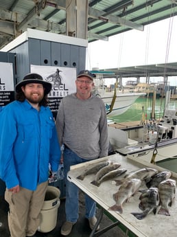 Black Drum, Speckled Trout / Spotted Seatrout fishing in Galveston, Texas