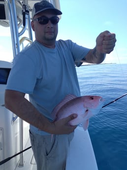 Red Snapper fishing in Clearwater, Florida