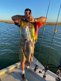 Black Drum Fishing in Freeport, Texas