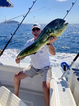 Mahi Mahi / Dorado Fishing in West Palm Beach, Florida