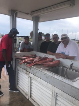 Red Snapper fishing in Galveston, Texas