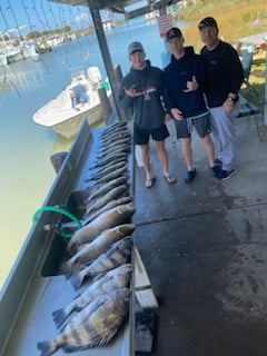 Black Drum, Redfish, Speckled Trout Fishing in Galveston, Texas