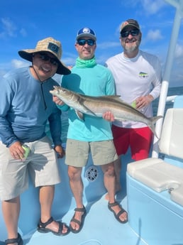 Tarpon fishing in Key West, Florida