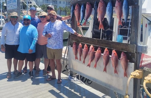 False Albacore, Red Snapper Fishing in Destin, Florida