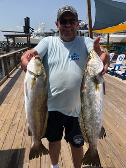 Speckled Trout / Spotted Seatrout fishing in Orange Beach, Alabama