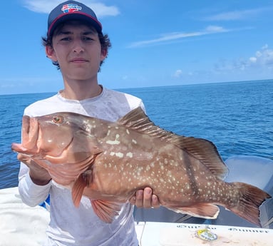 Red Grouper fishing in Clearwater, Florida