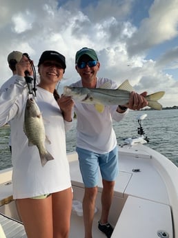 Mangrove Snapper, Snook fishing in Sarasota, Florida