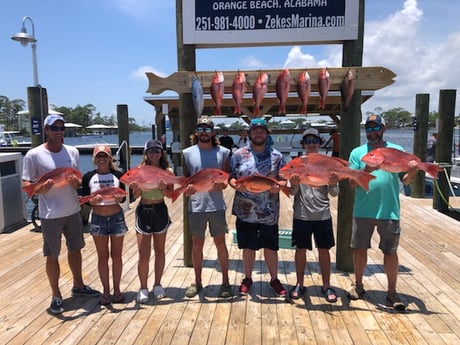 Red Snapper fishing in Orange Beach, Alabama