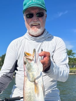 Speckled Trout Fishing in Galveston, Texas