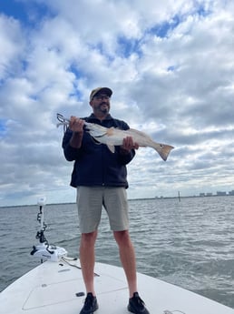 Redfish Fishing in Sarasota, Florida