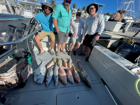 King Mackerel / Kingfish, Mutton Snapper, Yellowtail Snapper Fishing in Key West, Florida