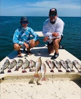 Black Drum, Redfish fishing in South Padre Island, Texas