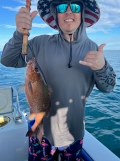 Mangrove Snapper Fishing in Destin, Florida