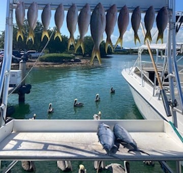 Spanish Mackerel, Yellowtail Snapper Fishing in Marathon, Florida