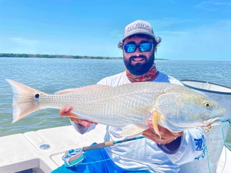 Redfish fishing in Tavernier, Florida