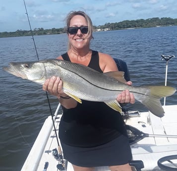 Snook fishing in Port Orange, Florida