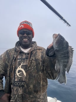 Black Seabass Fishing in Mount Pleasant, South Carolina