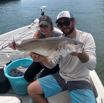 Redfish fishing in Clearwater, Florida