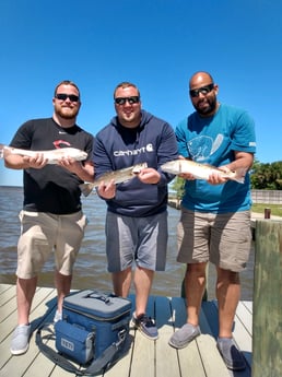 Redfish fishing in Santa Rosa Beach, Florida