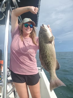 Gag Grouper fishing in St. Petersburg, Florida