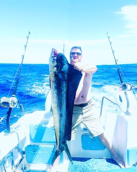 Mahi Mahi Fishing in Kapaʻa, Hawaii