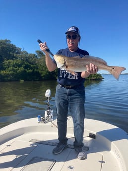 Redfish fishing in St. Petersburg, Florida