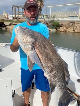 Black Drum fishing in Galveston, Texas