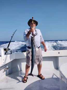 Wahoo fishing in Destin, Florida