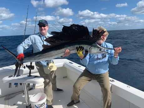 Sailfish Fishing in Palm Beach, Florida