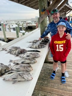 Sheepshead Fishing in Gulf Shores, Alabama