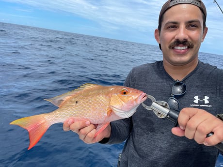 Mutton Snapper fishing in St. Augustine, Florida