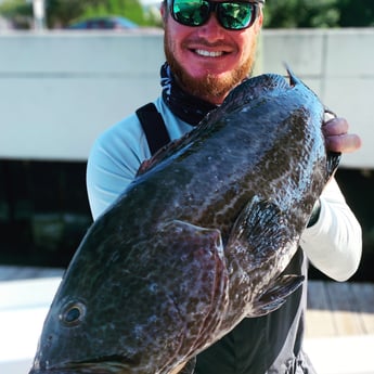 Black Grouper fishing in Key West, Florida