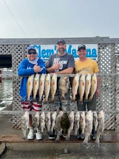 Black Drum, Flounder, Redfish Fishing in Corpus Christi, Texas