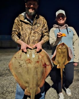 Stingray Fishing in Houston, Texas