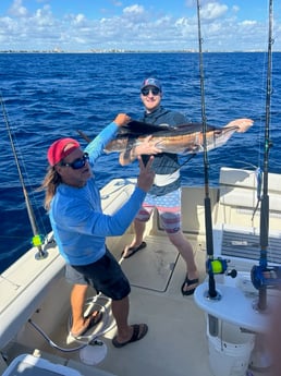 Sailfish Fishing in Pompano Beach, Florida