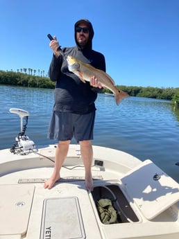 Redfish fishing in St. Petersburg, Florida