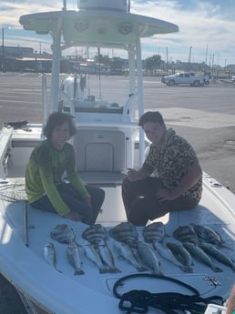 Sheepshead, Speckled Trout Fishing in Galveston, Texas