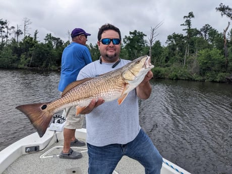 Redfish fishing in Sulphur, Louisiana