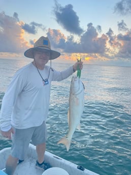 Redfish fishing in Port O&#039;Connor, Texas