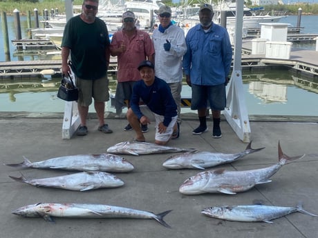 Amberjack, King Mackerel / Kingfish fishing in Freeport, Texas