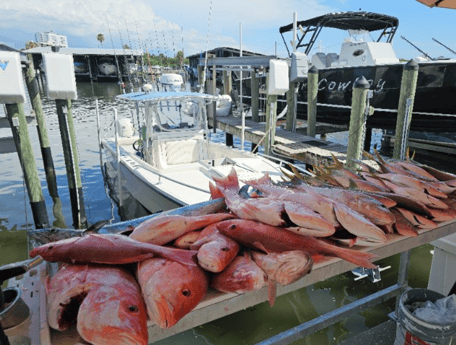 Fishing in St. Petersburg, Florida