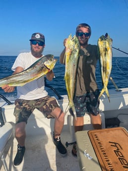 Mahi Mahi / Dorado fishing in Pensacola, Florida