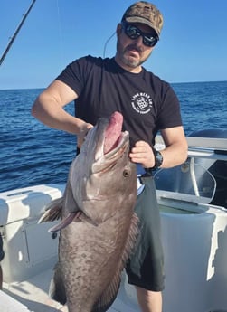 Gag Grouper fishing in Port Orange, Florida