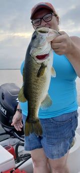 Fishing in Sebastian, Florida