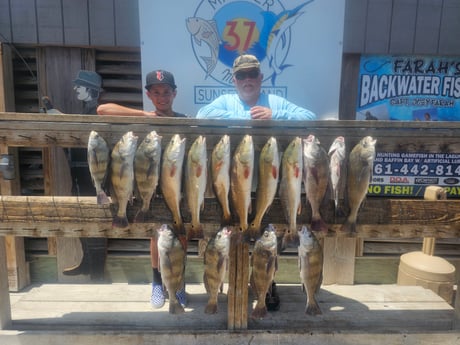 Black Drum, Redfish Fishing in Corpus Christi, Texas