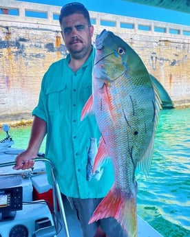 Mutton Snapper fishing in Tavernier, Florida