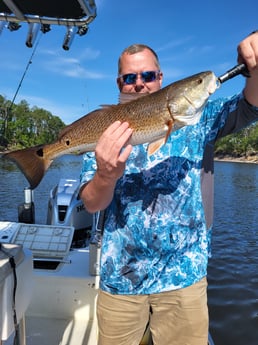 Redfish Fishing in Santa Rosa Beach, Florida