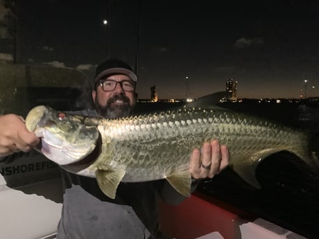 Tarpon Fishing in Jupiter, Florida