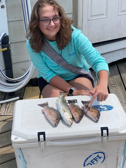 Mangrove Snapper, Speckled Trout Fishing in Destin, Florida