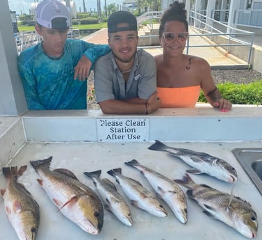 Black Drum, Redfish, Sheepshead, Speckled Trout / Spotted Seatrout fishing in Galveston, Texas